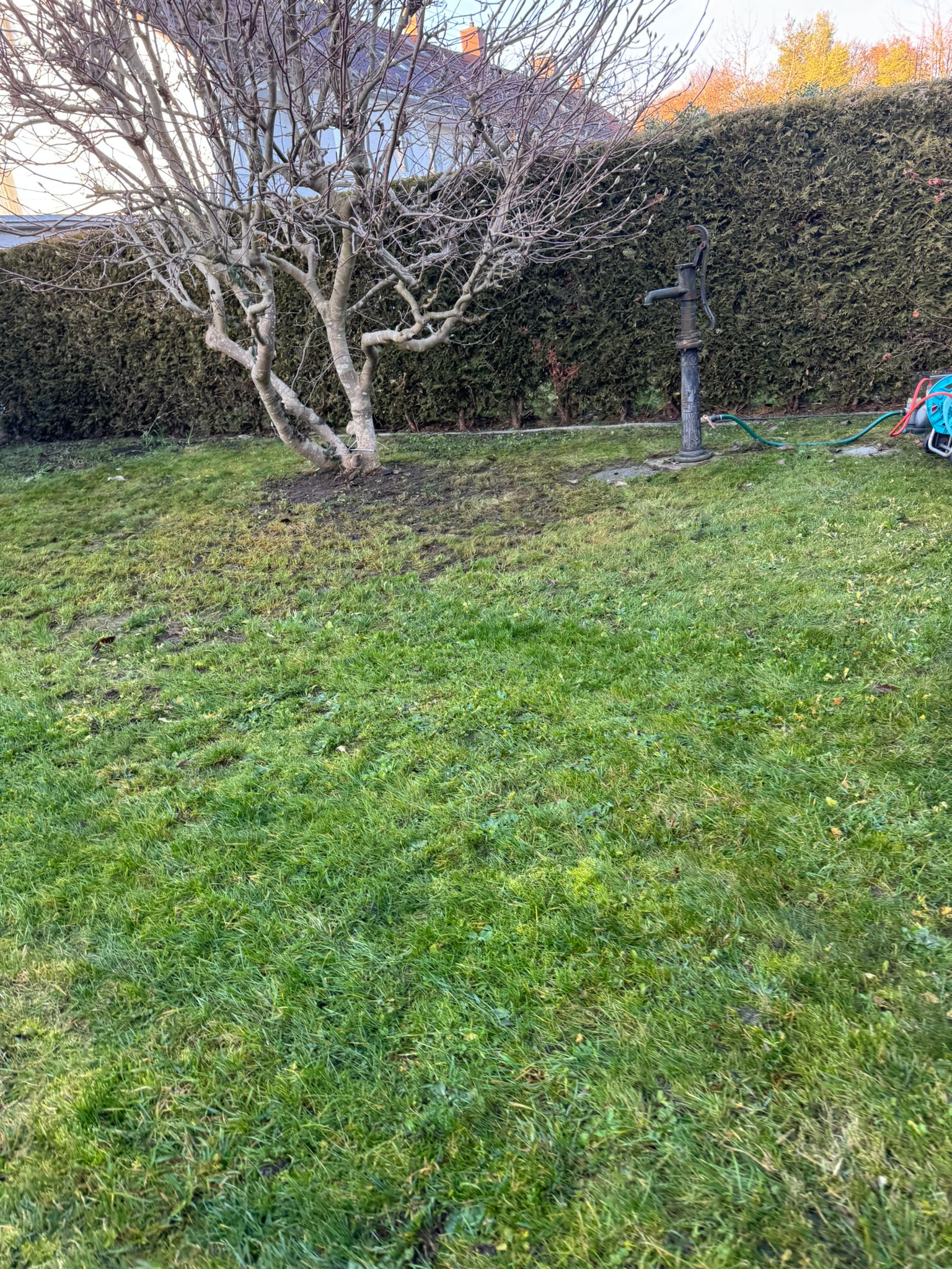Gartenwege und Terrassenpflege
