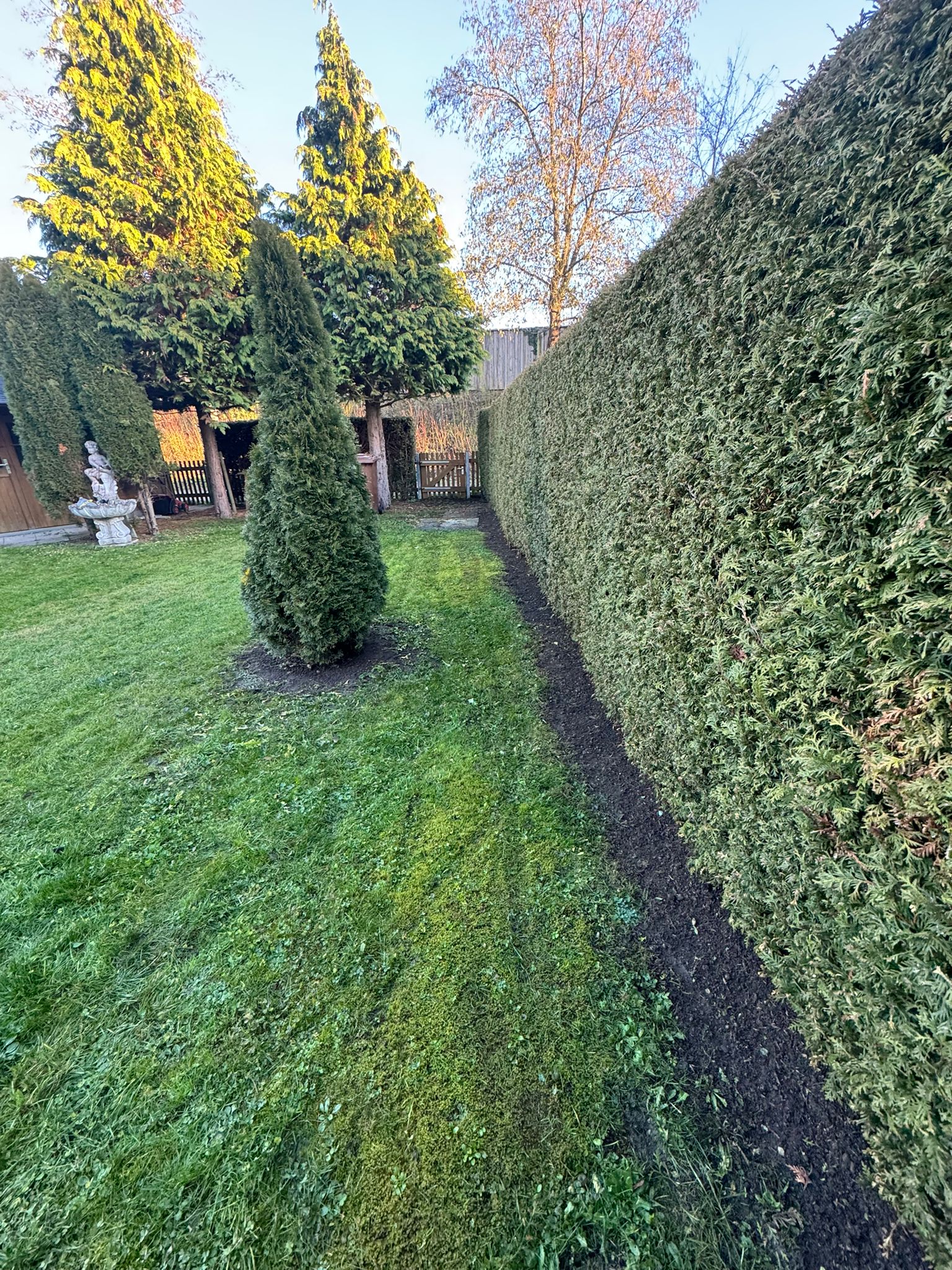 Gartenbeleuchtung und Dekoration